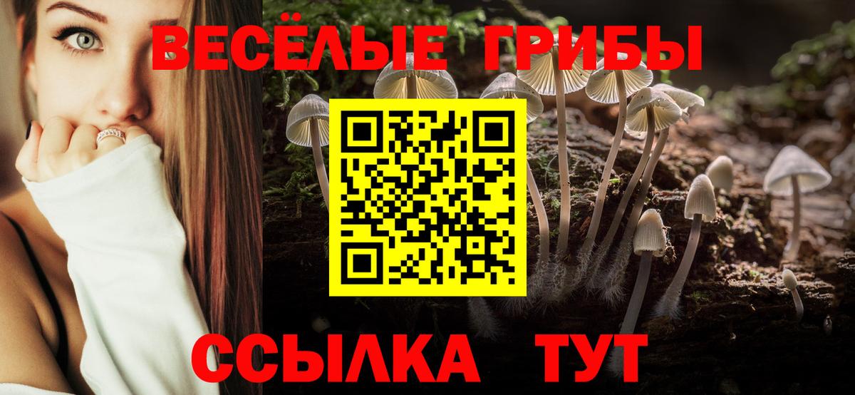 Галлюциногенные грибы Cubensis  Галлюциногенные грибы Psilocybine cubensis  Топки  Вход с VPN 