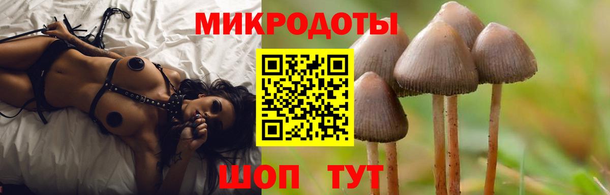Галлюциногенные грибы Psilocybine cubensis Топки
